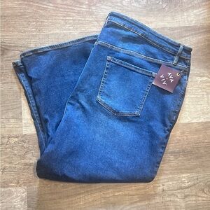 FINAL PRICE NWT Ava & Viv Plus Size Jeans